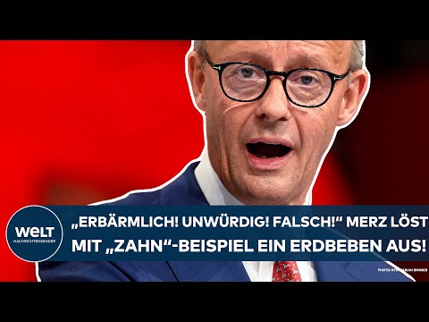 FRIEDRICH MERZ: "Erbärmlich! Unwürdig! Falsch" CDU-Chef löst mit "Zahn"-Beispiel ein Erdbeben aus