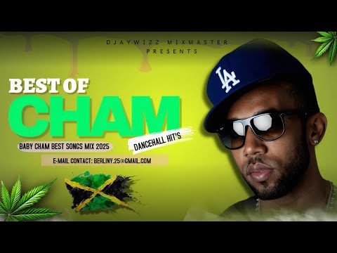 Baby Cham Mix 2025 | The Best of Baby Cham | Latest Cham Hits By DjaywiZz 