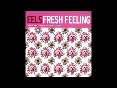 EELS FRESH FEELING (ALV #1)