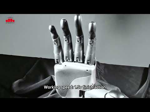 DH-5-6 Dexterous Hand Review Video 2