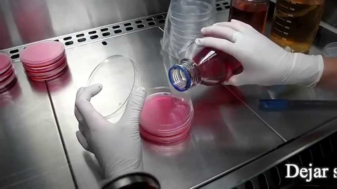 Técnicas básicas de Microbiología: Preparación de Placas de Petri con medio de cultivo.