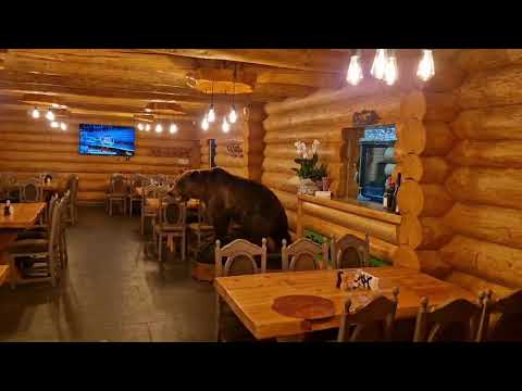 Bârlogul Ursului - Cazare & Restaurant Vânătoresc