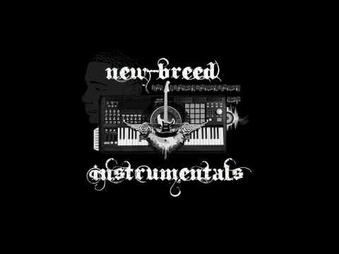 2011 Instrumentals #3 (Crunk Snap Dance Music)