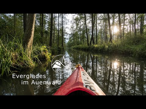 Everglades im Auenwald, der Spreewald