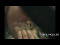 Nandhitha Das Hot Scene
