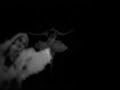 Julee Cruise "The Swan" (Anna Pavlova) (music video 2012)