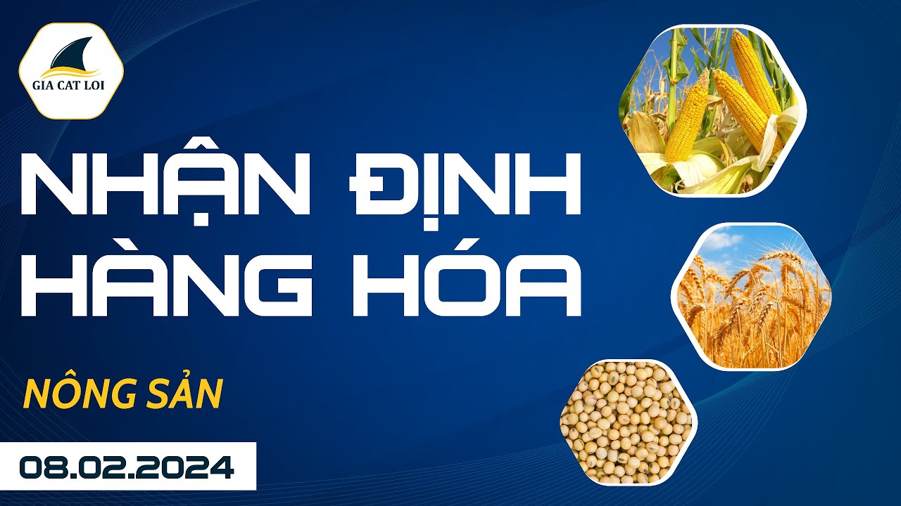 Nhận Định Thị Trường Nông Sản Ngày 08/02/2024