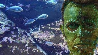 Worldbeat Music Video - Hardi Ari 2011 by Ariel Kalma from album Tribal Groove 2