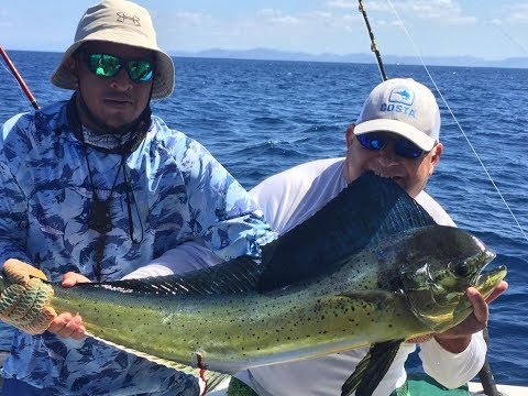 01 19 2019 Mahi Mahi Canadians