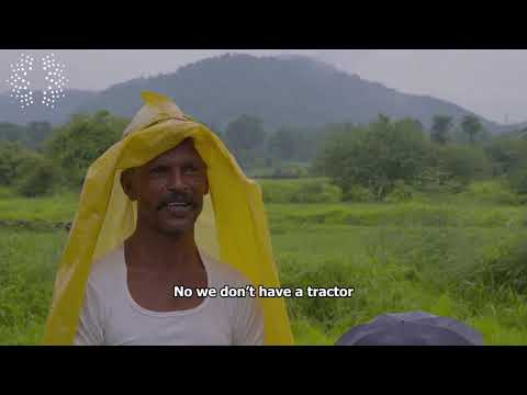 Rural Transformation and Zero Hunger