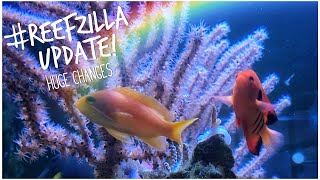 #reefzilla Looking Good - New Coral! 180 gallon Custom Mixed Reef Tank Update - November 2020