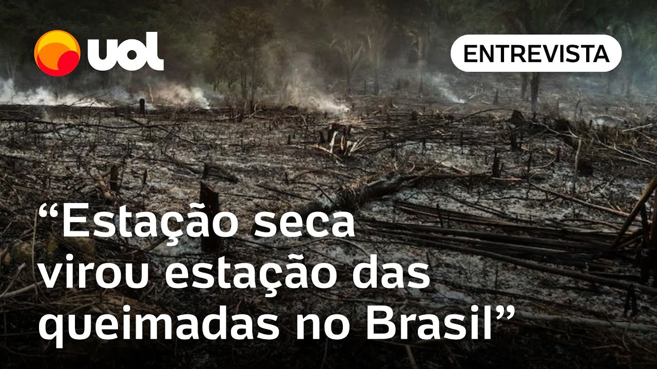 Com secas e queimadas, rios voadores da Amazônia viram rios de fumaça | Análise da Notícia