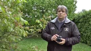 Video thumbnail for Canon EOS 1200D deutsch by Hermann Stanzel