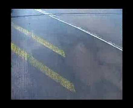 sambassadeur - new moon