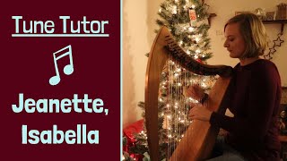 Bring a Torch Jeanette Isabella // Learn A Christmas Carol on Celtic Harp!