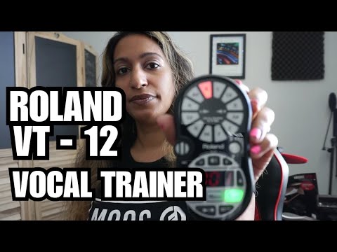 Roland VT-12-BK Vocal Trainer VT12 VT-12 w. Zippered Case image 2