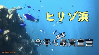 ヒリゾ浜 2023 08 26　今年1回目で「とても良好」。沖縄にも負けない程の透明度。