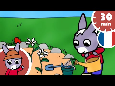 🌱Trotro est un vrai petit jardinier !👩‍🌾 - Dessin Animé pour Bébé