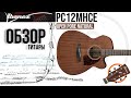 Обзор электроакустической гитары Ibanez