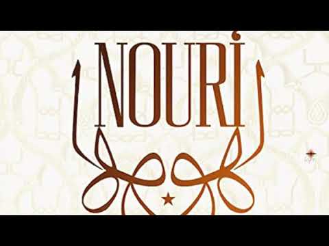 Nouri* Saree
