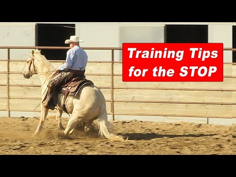 Training Tips for Stopping Your Horse - Reining Horse, Reined Cow Horse, Cutting Horse Stop