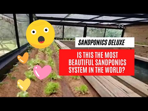 Sandponics - Is This The Most Beautiful System In The World?