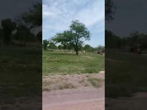 Campo "Las Zanjas" - Sgo. del Estero, Figueroa, Bandera Bajada