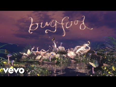 Alissic - bugfood (Lyric Video)