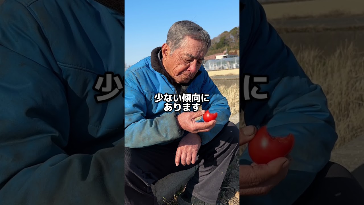 僕の最後の挑戦#農業を盛り上げたい #熊本 #トマトジュース