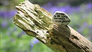 Embrace - You&#39;re not alone with lyrics