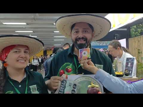 Mariquita Mangostino