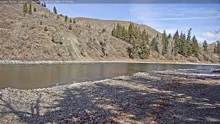 Snake River Cabins - Jackson, WY