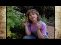 Herb Garden Sesame Plants
