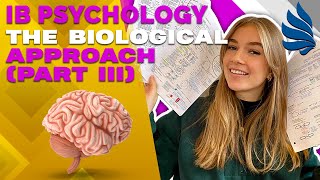 IB Psychology Revision The Biological Approach Part 3