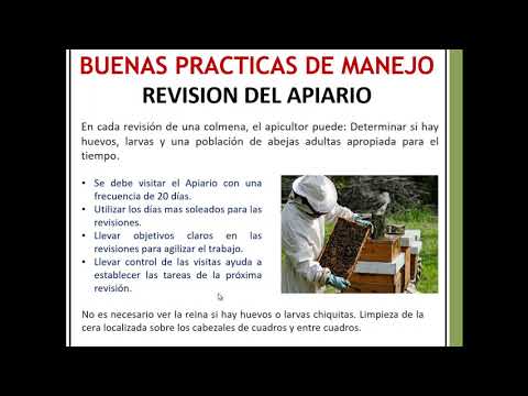 BUENAS PRACTICA DE APICULTURA