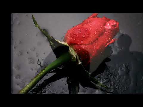 Rut sin de Ruse - Cover am Tyros4 und PSR-S910