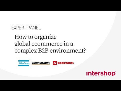 EXPERT PANEL How to organize global ecommerce in a complex B2B environment?