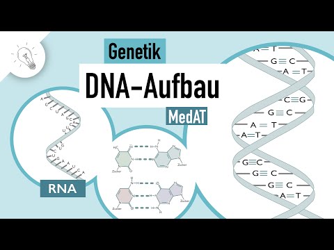 DNA structure | Genetics | MedAT | Biology