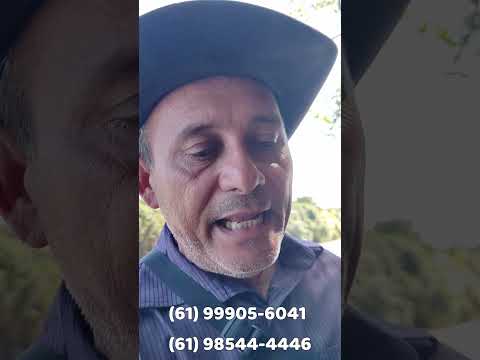 🚨 EXCELENTE FAZENDA À VENDA EM PADRE BERNARDO – GOIÁS 🚨