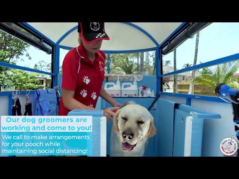 Mobile dog wash that comes to you!