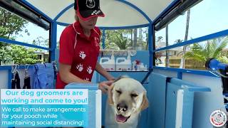 Mobile dog wash that comes to you!