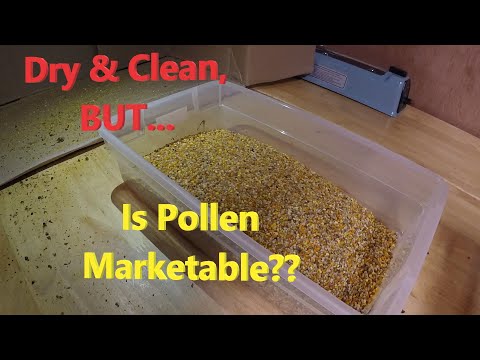 Pollen Drying and Processing