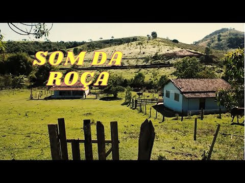 O SOM DA ROÇA   Modas De Viola e Sertanejo Raiz