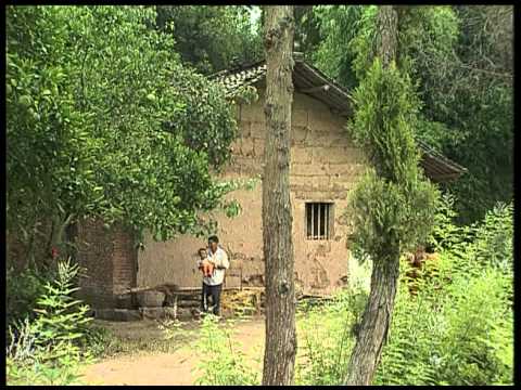 FAO ambassador Gong Li visits China (TeleFood 2000)
