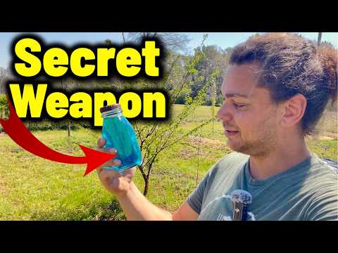 Beginner's Composting: 12 Simple Ingredients Revealed