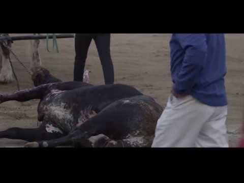 Trailer 1 - Death In The Afternoon - Anti bullfighting Campaign (English subs)