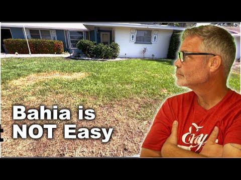 How To Care For A Bahia Grass Lawn Part 1