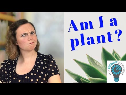 Belbin's team roles: how to build a high performing team, and understand your skills.