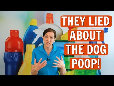 5 Lies You've Been Told About Dog Poop