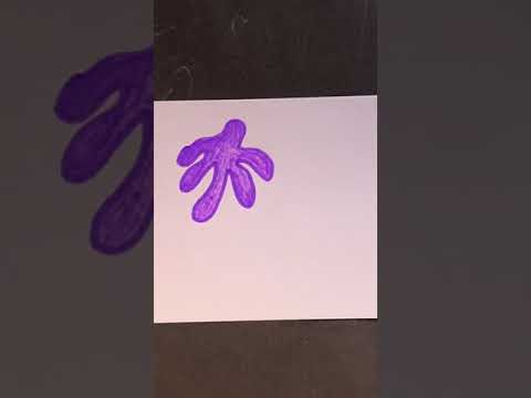 HOW TO DRAW INSPIRED BY HENRI MATISSE